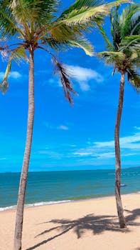 Serene tropical beach scene with palm trees, blue sky, and ocean in Pattaya, Thailand.