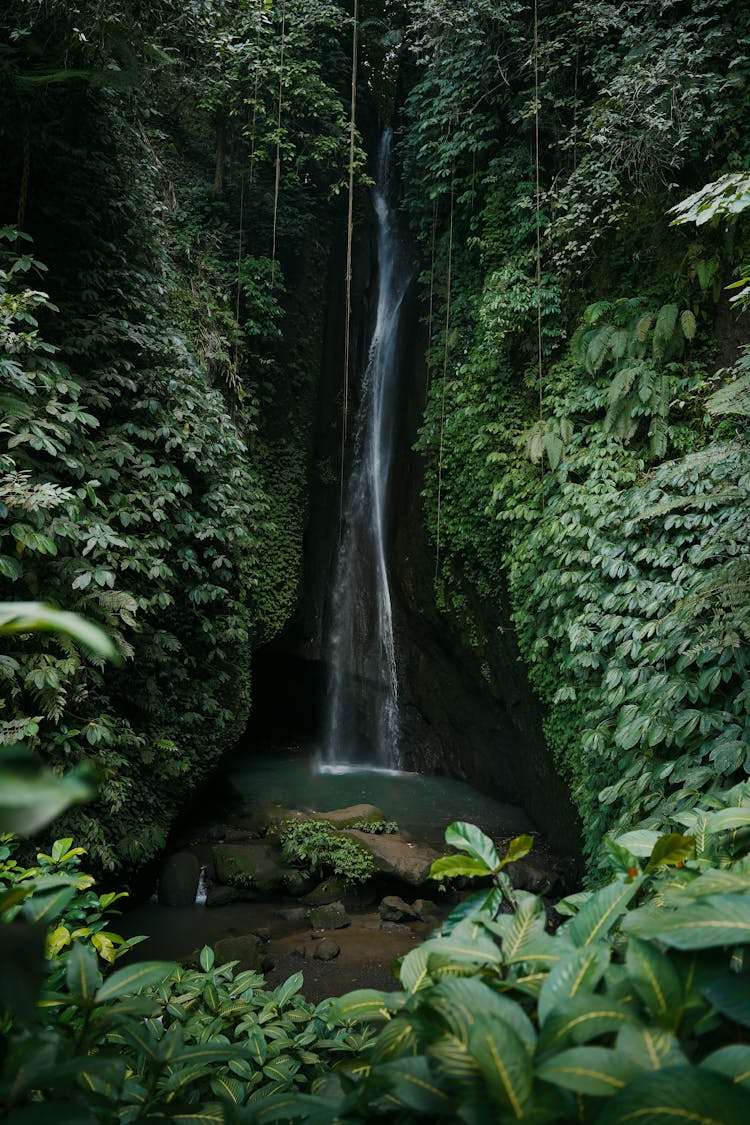 Leke Leke Waterfall Flowing In The Jungle, Bali, Indonesia