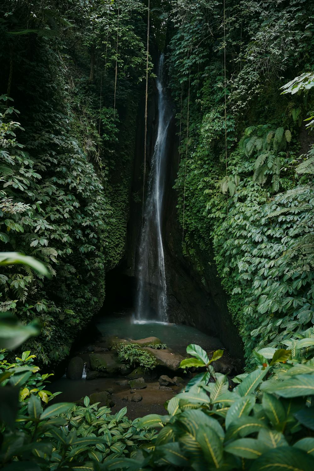 Beautiful waterfall cascading into crystal-clear natural pool surrounded by jungle