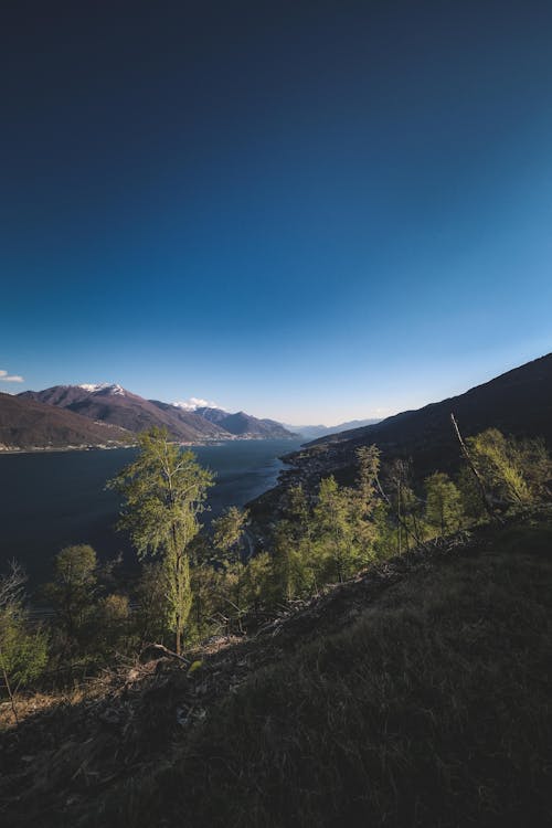 Free View of Fjord seen from Hillside under Blue Sky Stock Photo