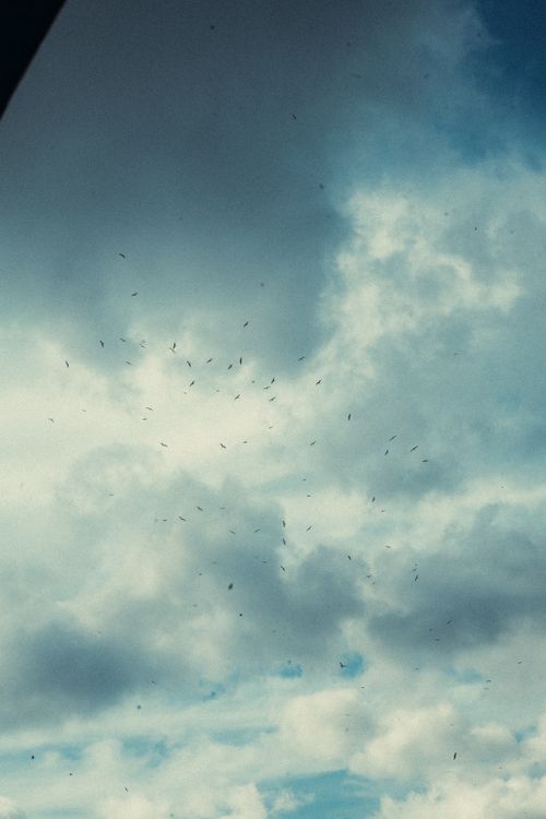 Free A serene sky filled with clouds and a flock of birds in flight, creating an ethereal and peaceful atmosphere. Stock Photo
