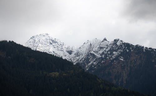 A view of snow covered mountains with trees