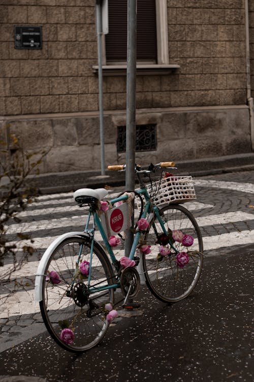 Základová fotografie zdarma na téma jízdní kolo, kolo, košík