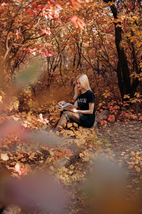 Free Blonde woman reading a book among bright autumn leaves in a Dnipro park, showcasing fall's beauty. Stock Photo