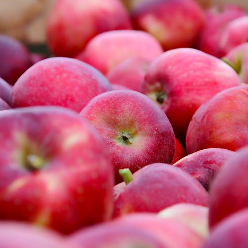 Close-up of Abundance of Red Apples