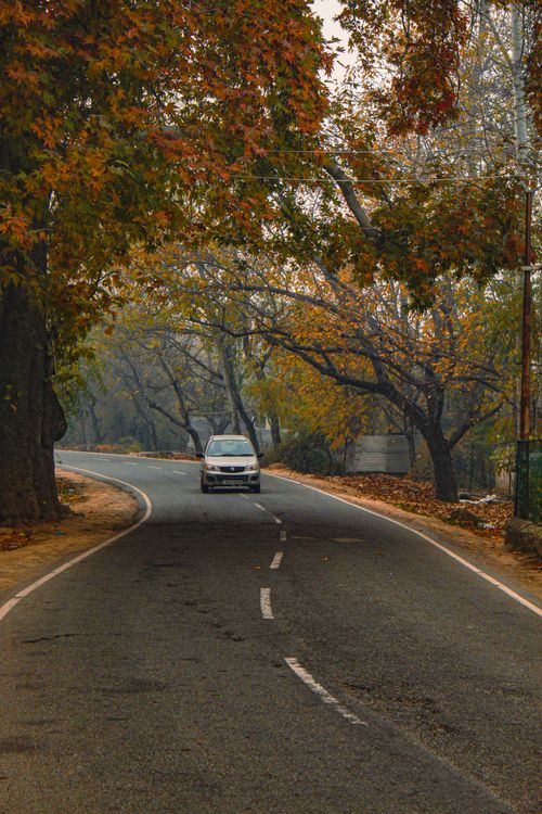 Free A vehicle navigates a winding autumn road lined with colorful trees, creating a serene fall atmosphere. Stock Photo