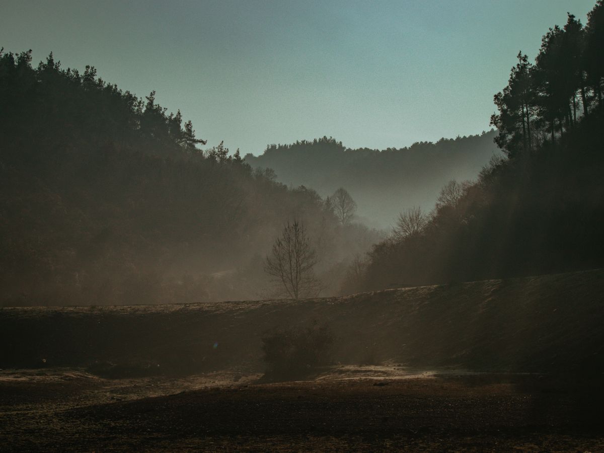11 Day Breathwork Facilitator Training Earth Module, Portugal 3