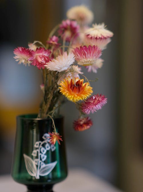 Kostenloses Stock Foto zu blühen, blumenstrauß, blütenblätter