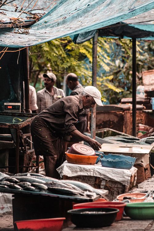 Free An elderly man in a cap arranging fish at a bustling outdoor market, showcasing daily life. Stock Photo