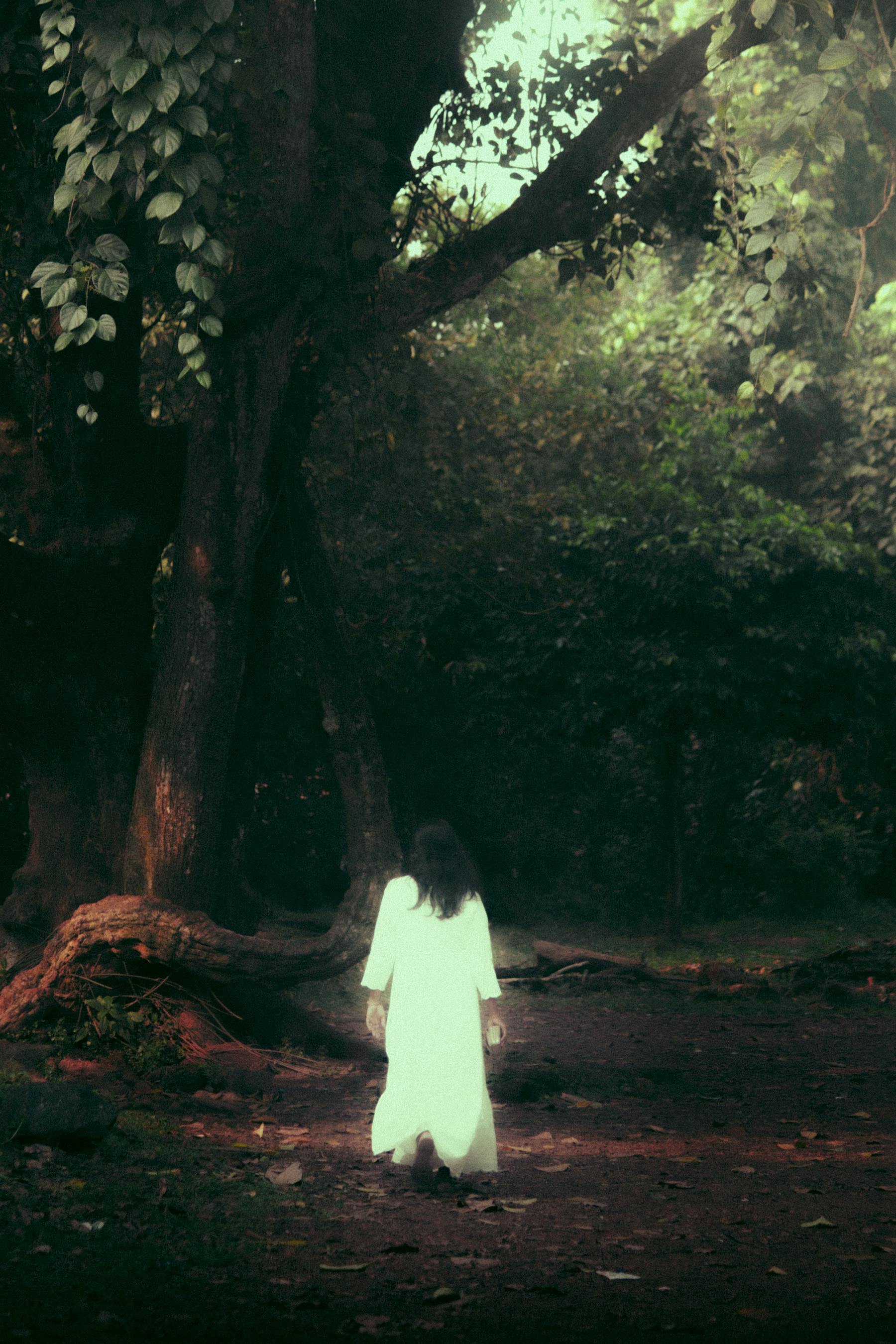 A mysterious woman in a white dress stands in a foggy, autumn forest, evoking an eerie atmosphere.