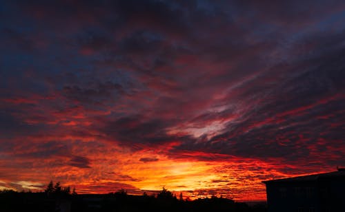 Immagine gratuita di cielo rosso, tramonto, tramonto dorato