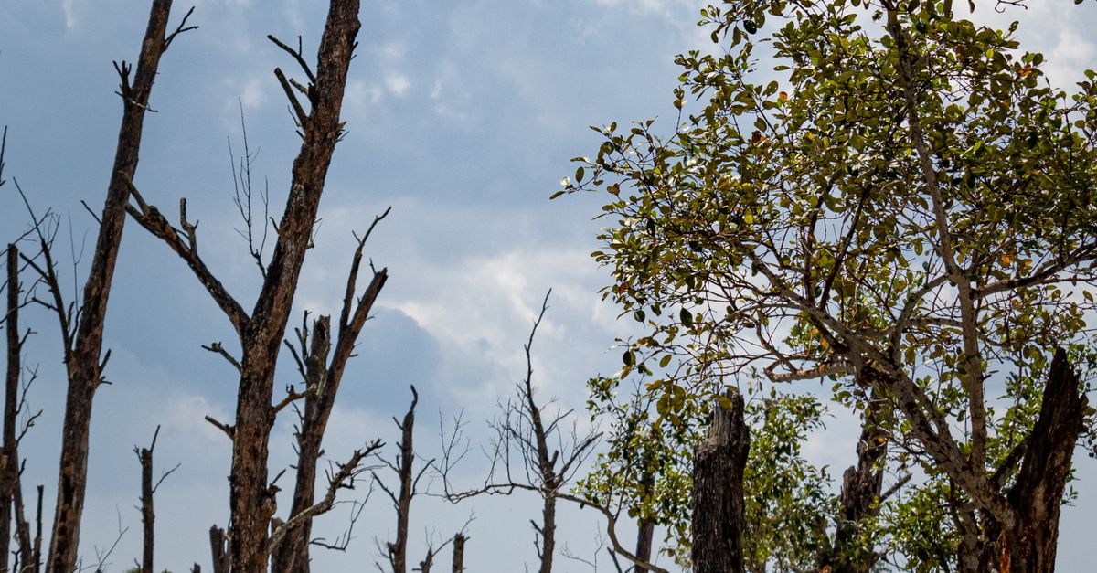 Qué es la migración climática y por qué se discute tanto Qué es la migración climática y por qué se discute tanto