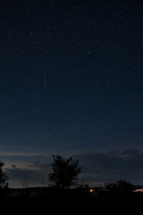 Imagine de stoc gratuită din arbori, astronomie, celebrități