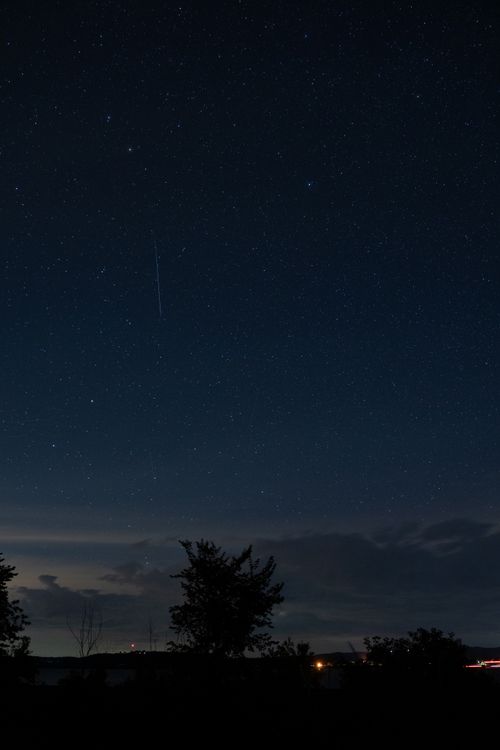 Free Silhouette of trees under a starry sky in Maple Springs, Minnesota, capturing celestial beauty. Stock Photo