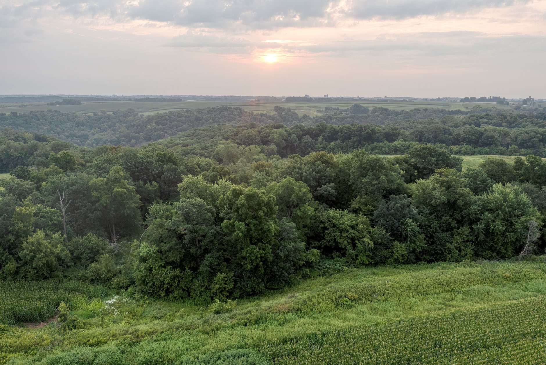 Scenic view of lush green landscape with forest and distant horizon at sunset visible from Alma, WI.