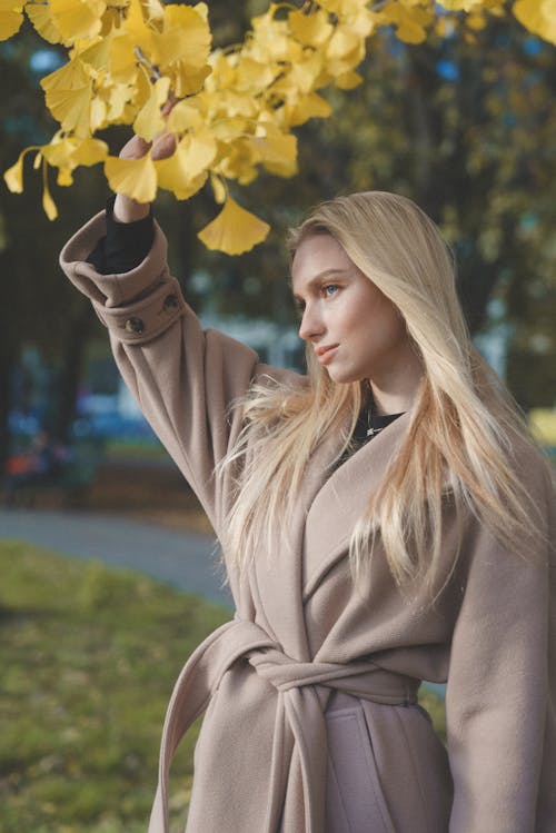 Blonde Wearing a Beige Coat Standing under a Ginkgo Biloba Tree with Yellow Leaves