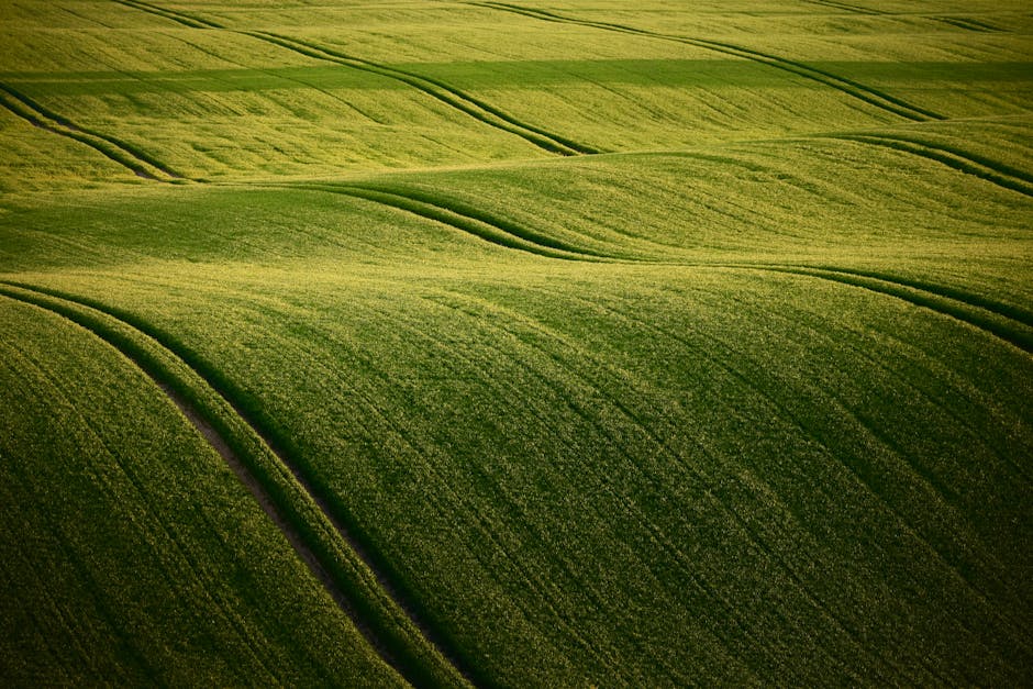 Development of Farming Techniques