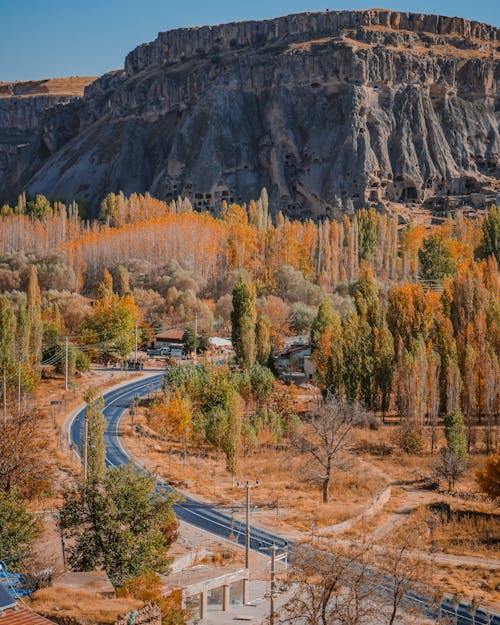 Rocky Landscape and Trees in Autumn