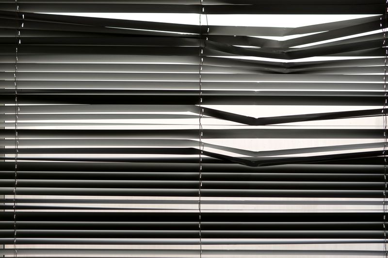 Roller blinds filtering soft daylight across a room