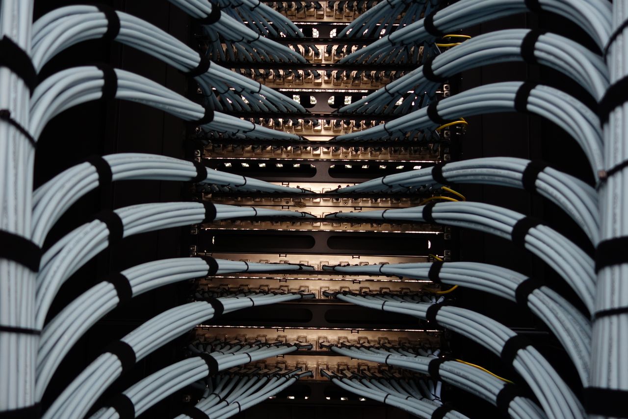 Organized network server cables for efficient data management.