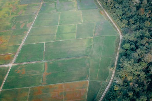 Aerial shot showcasing farmland patterns and wooded area, depicting rural agriculture.