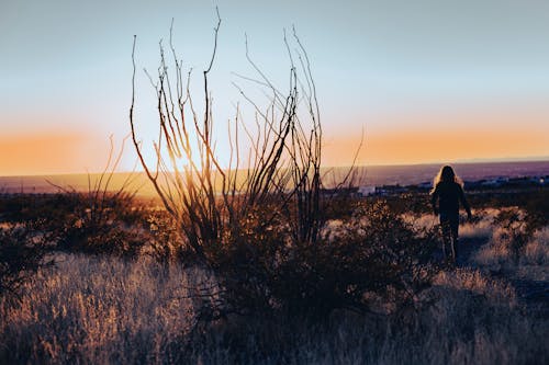 Fotos de stock gratuitas de Desierto, puesta de sol