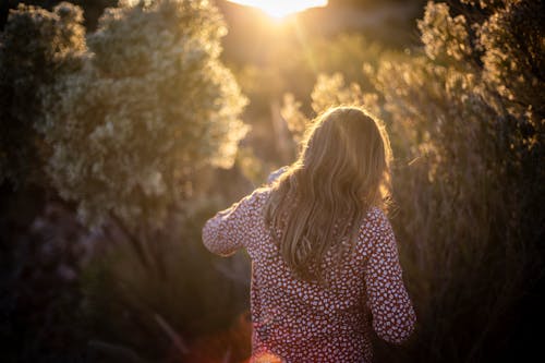 Back View of a Woman Looking at the Sunset 