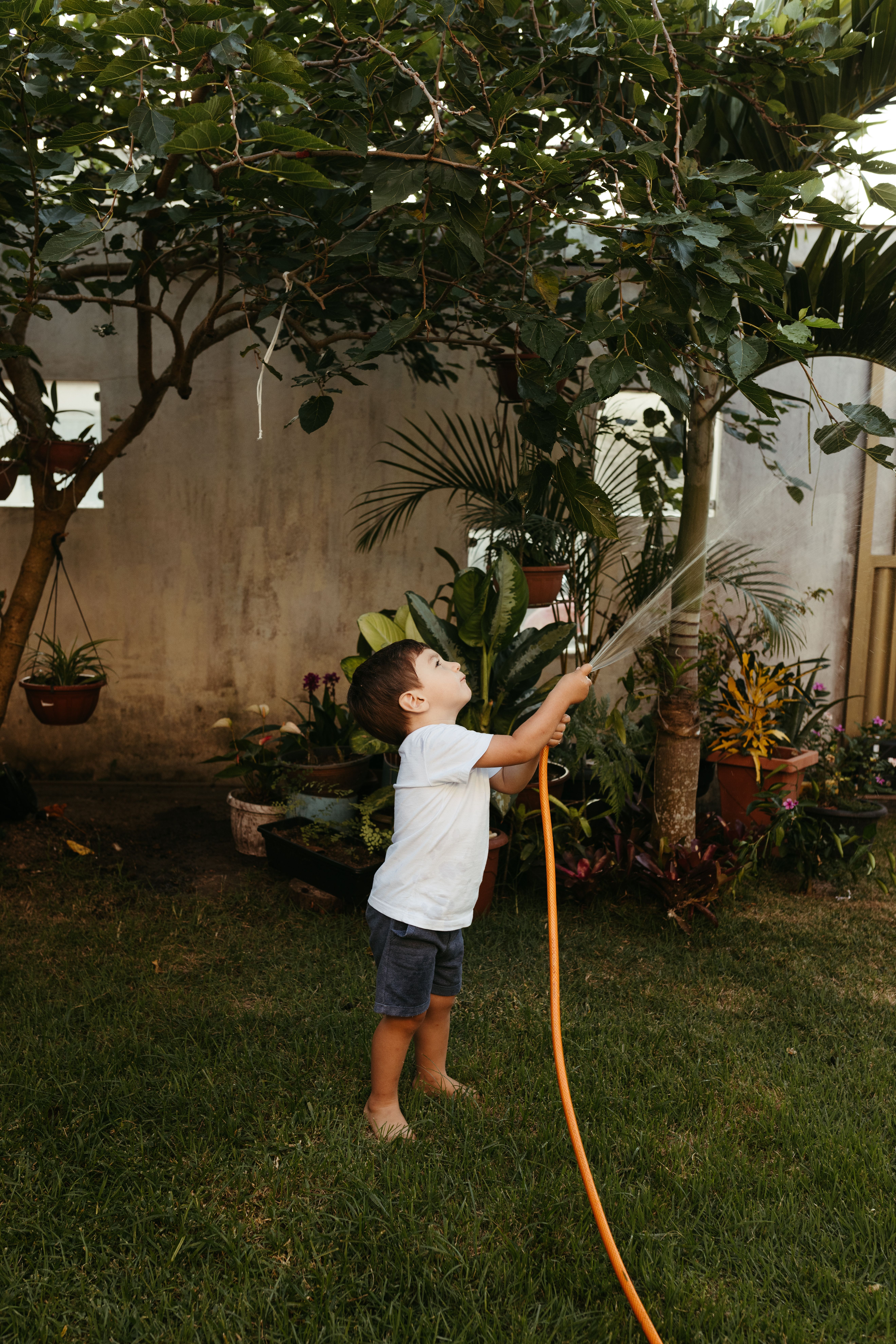 child watering plants with a can