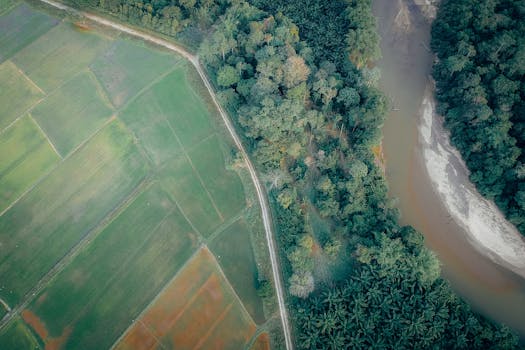 Drone shot capturing lush greenery and a flowing river in a rural landscape.