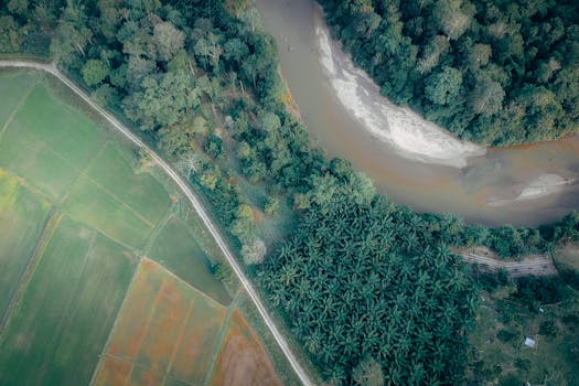 从鸟瞰图可以看到，郁郁葱葱的绿色农田和一条蜿蜒的河流穿过茂密的森林