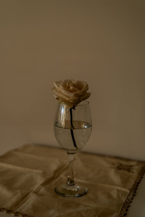 Безкоштовне стокове фото на тему «біла роза, вертикальні постріл, декорація»