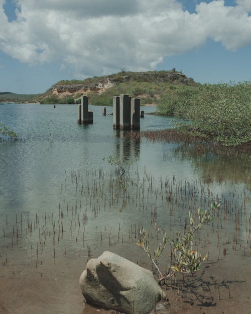 Fotos de stock gratuitas de agua de lago, aguas tranquilas, arboles