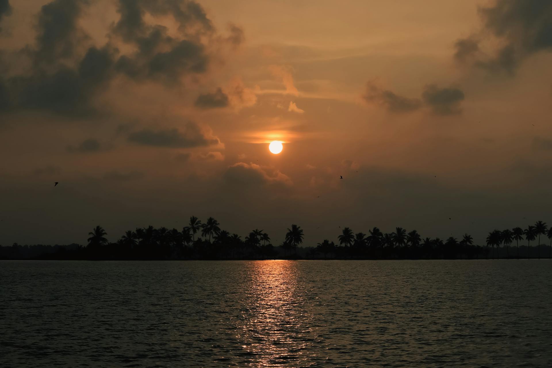 Beautiful sunset over the Kuttanad backwaters with palm tree silhouettes and a calming atmosphere.