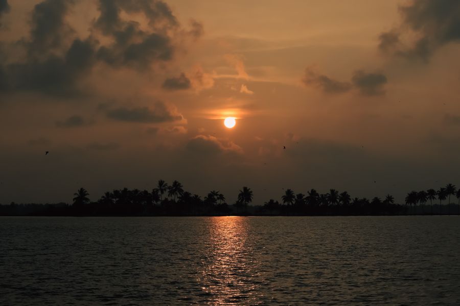 Kuttanad Region photo 2