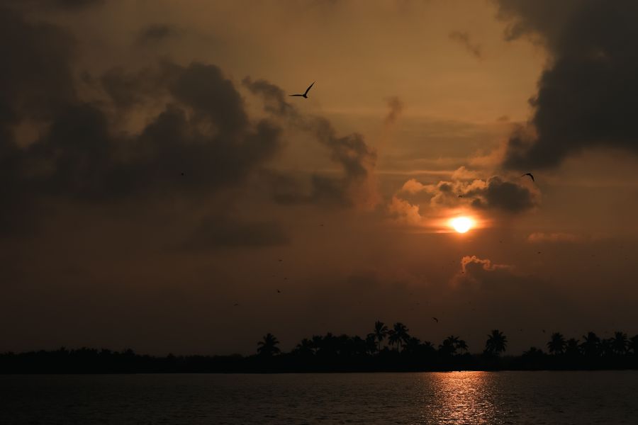 Kuttanad Region photo 3