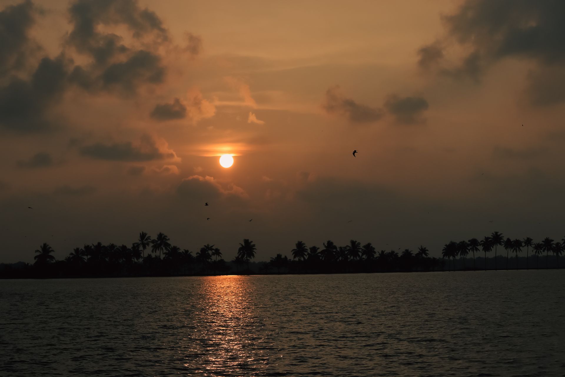 Kuttanad Region