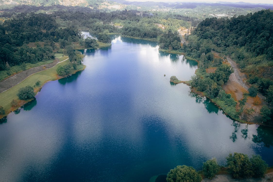 Aerial View Photography of Lake Near Trees