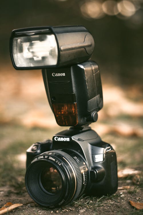 Camera with Lamp in a Forest 