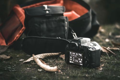 Free Canon 250d  Stock Photo