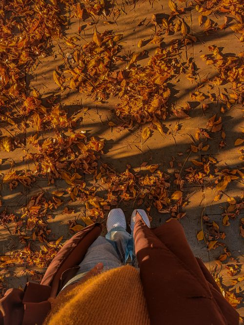 Free A person in a coat walking on a leaf-covered path during fall. Stock Photo