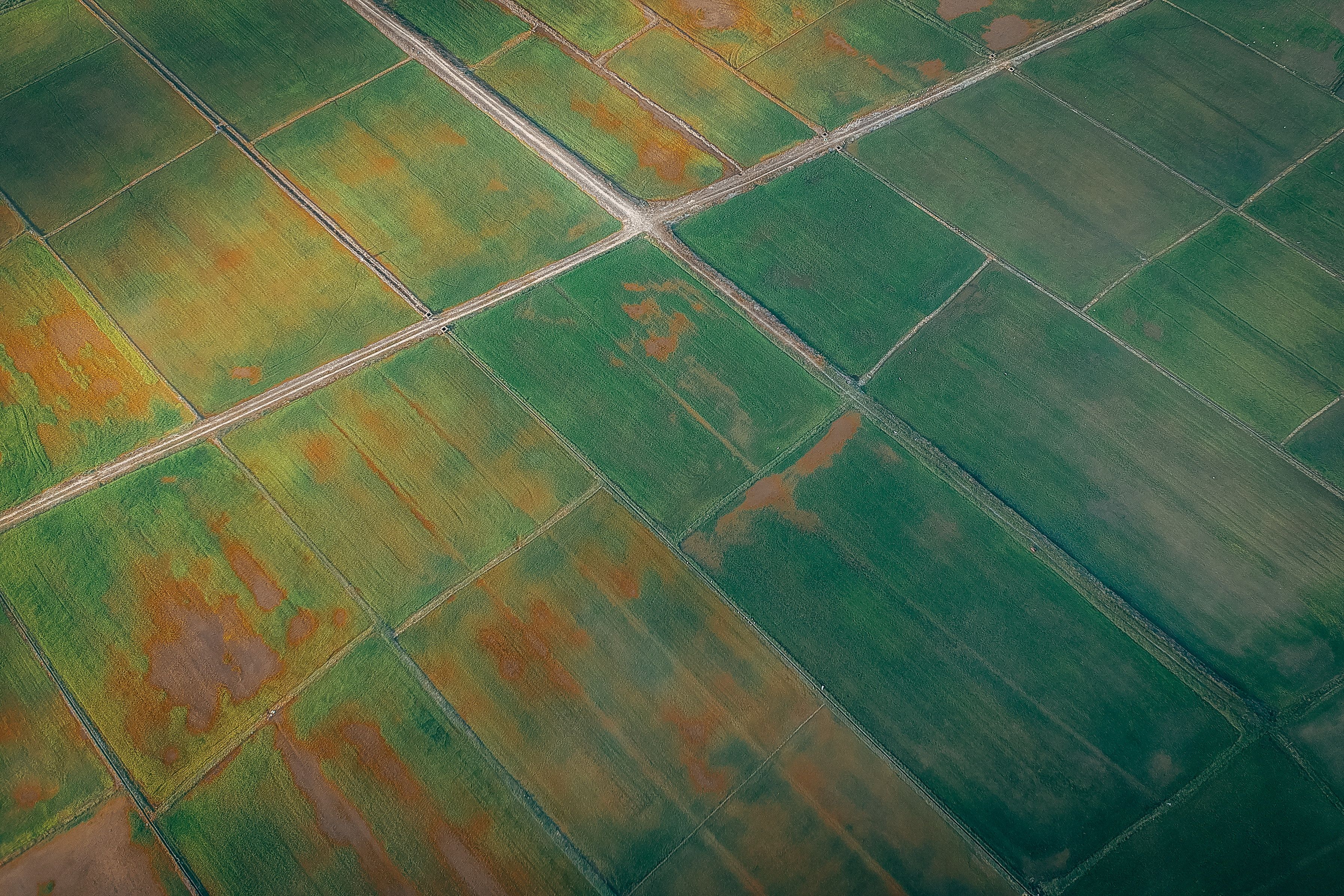 Aerial View of Croplands · Free Stock Photo