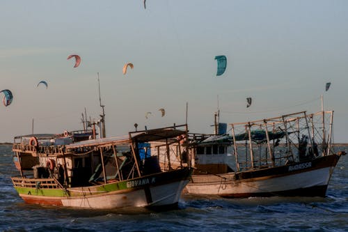 Immagine gratuita di ancorato, aquiloni di potenza, barche da pesca