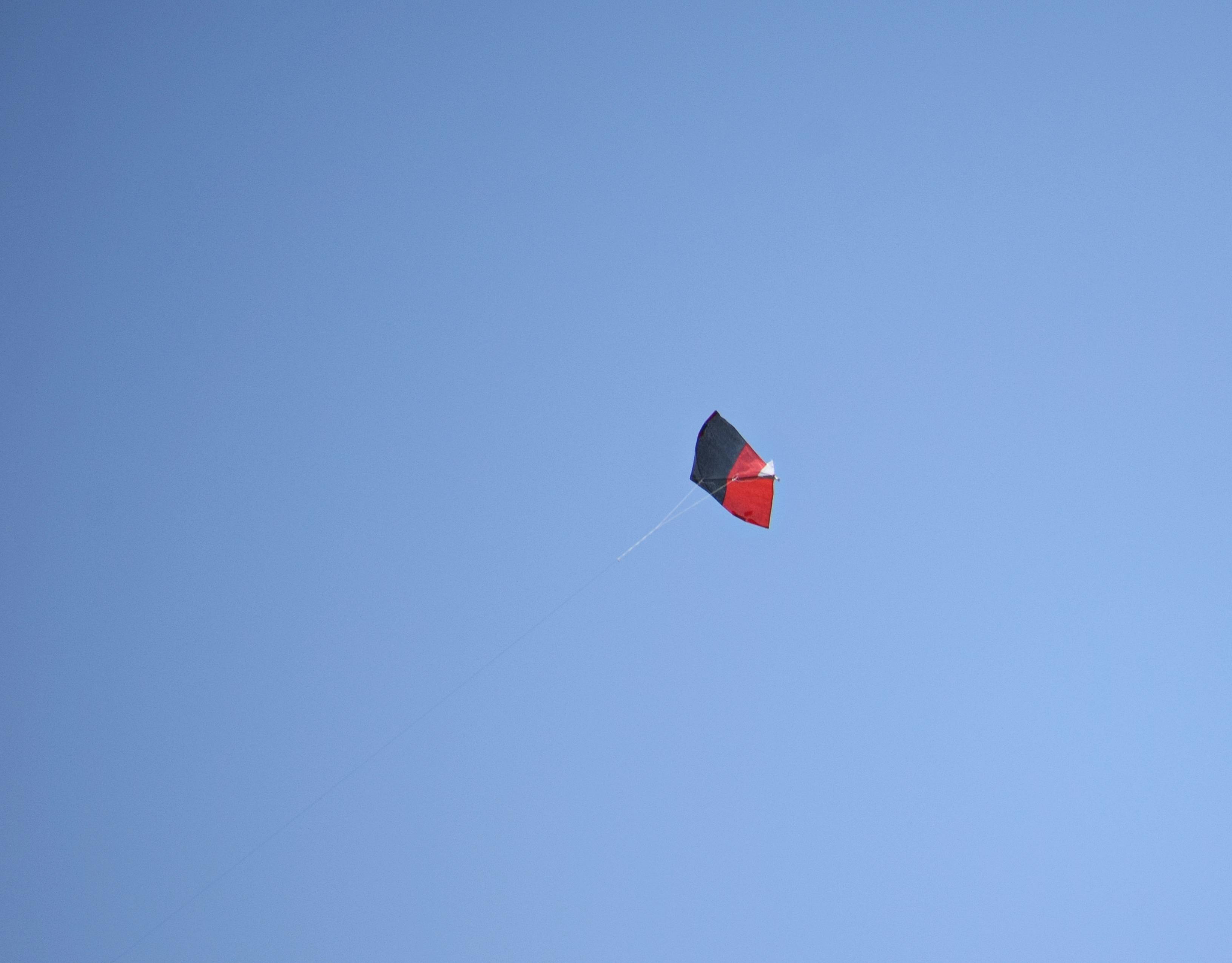 Free stock photo of kite, Kite flying
