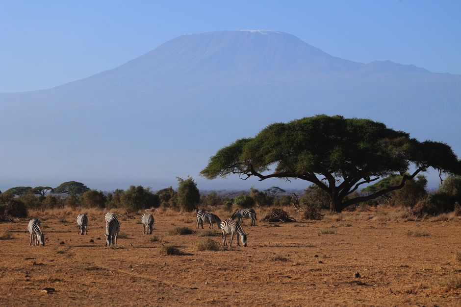 Peut-on vivre en Kenya sans parler anglais ?