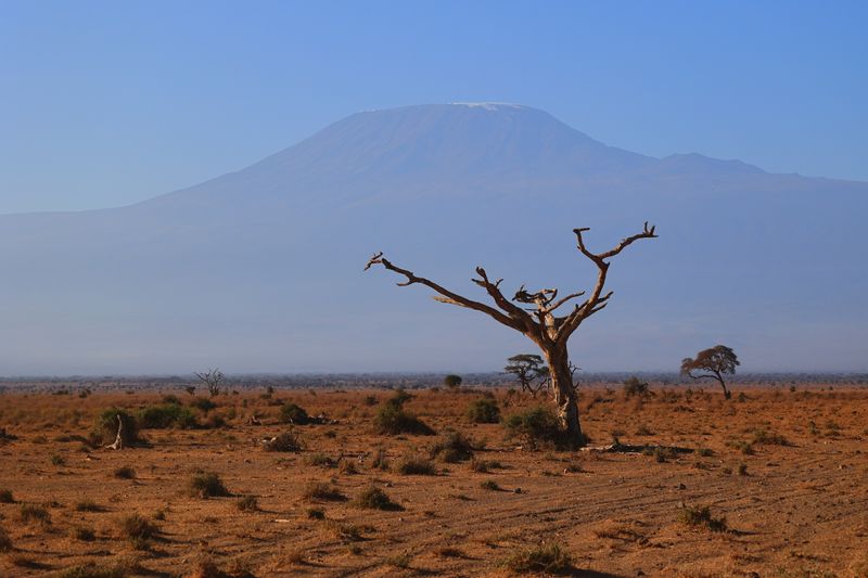 Amboseli scene 3