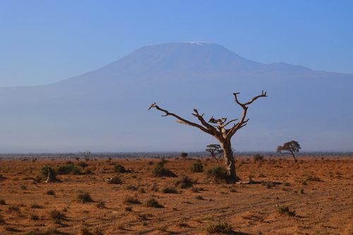 Free Scenic view of barren landscapes of Kajiado County, Kenya with Mount Kilimanjaro. Stock Photo