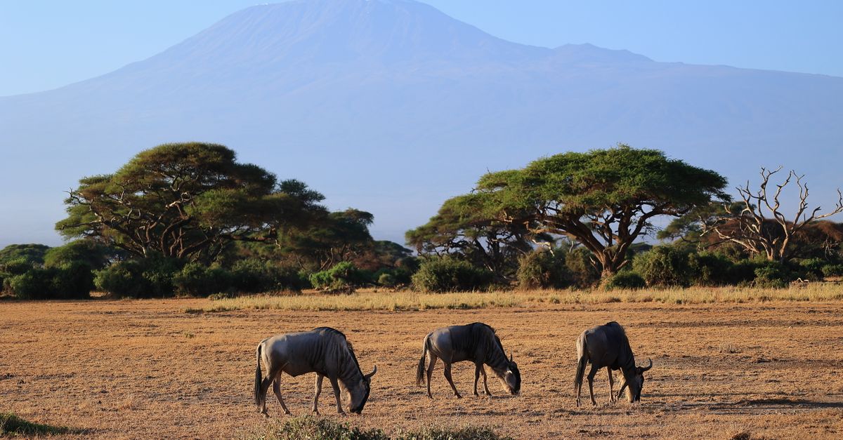 amboseli