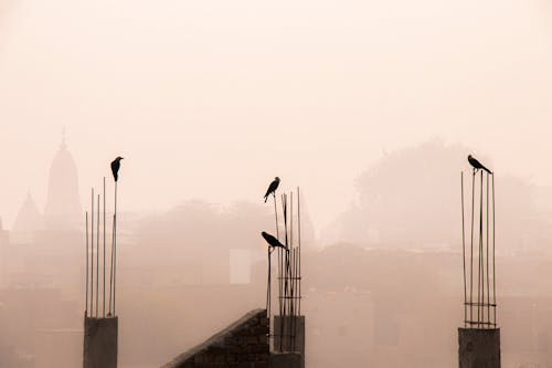 Fotobanka s bezplatnými fotkami na tému fotografia ulice, rámy, rozprávanie príbehov