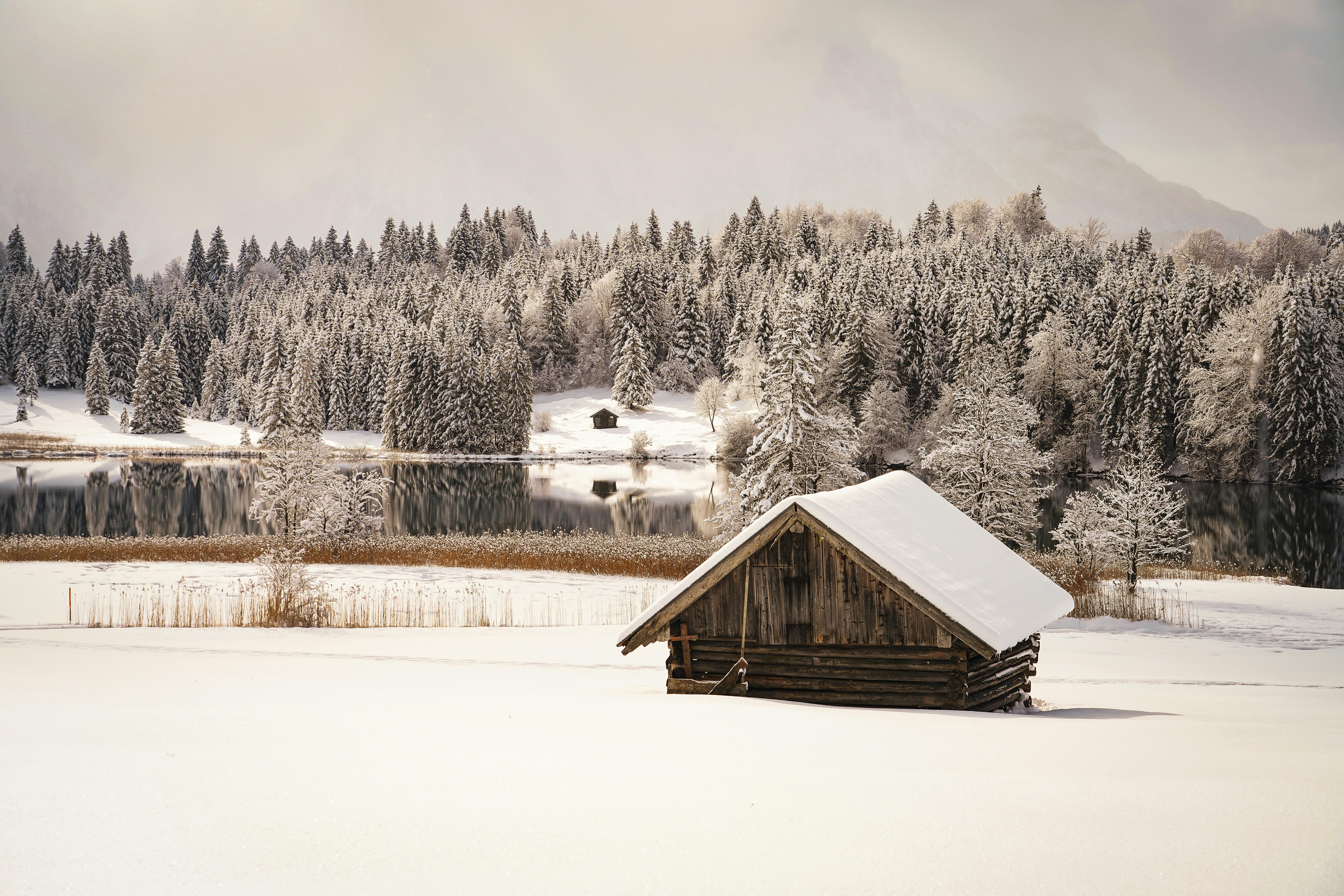 Idyllic snowy landscape featuring a wooden cabin by a tranquil lake surrounded by frosty evergreen trees.