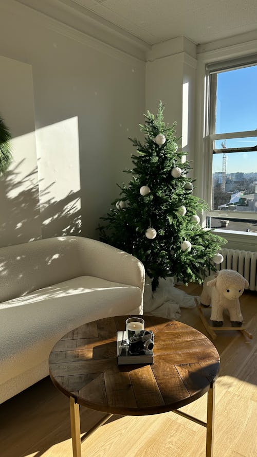 Fotos de stock gratuitas de ambiente navideño, árbol de Navidad, decoración